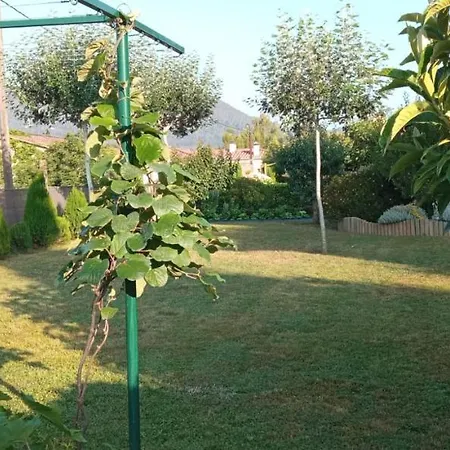 El Racó Del Puig *